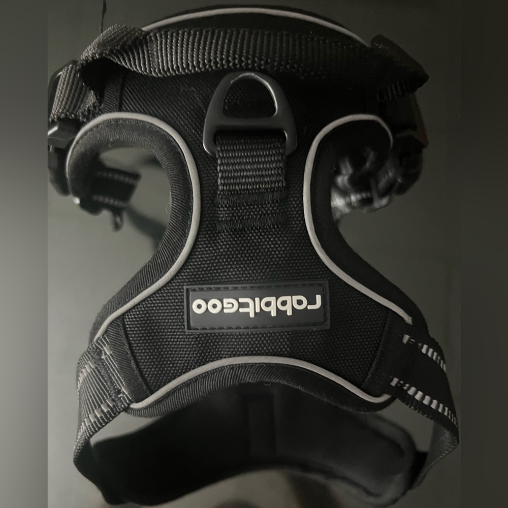 Black Dog Harness by Robbitgoo